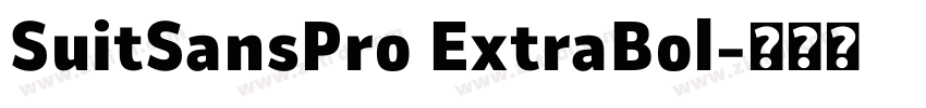 SuitSansPro ExtraBol字体转换 SuitSansPro ExtraBol字体转换